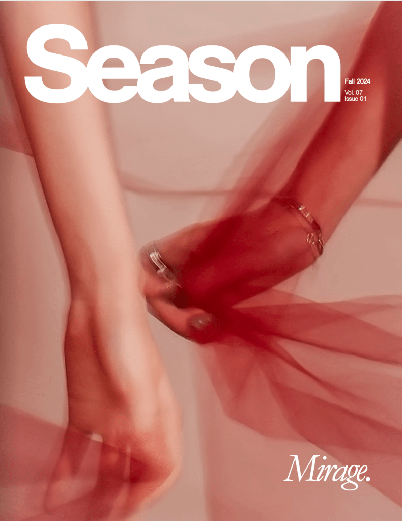 BBBS Summer Internship Project